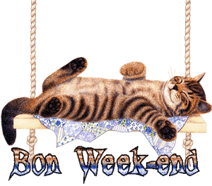 Gif animé bon week-end chat